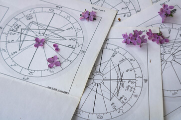 old printed astrology charts with tiny lilac flowers