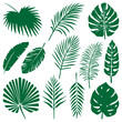 Illustration cards stickers set of tropical leaves	