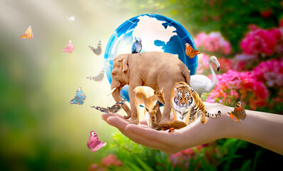 Wall Mural - Earth Day or International Day for Biological Diversity concept. Group of animals, butterflies and globe in hand. Saving our planet, protect wildlife nature reserve, protection of endangered species.