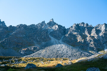 Wall Mural - landscape with mountains