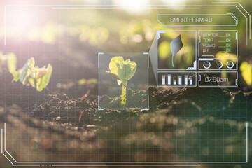 Agriculture with iot and artificial intelligence technology in smart farm with precision sensor for monitoring plants. Smart farming ai and precision agriculture 4.0