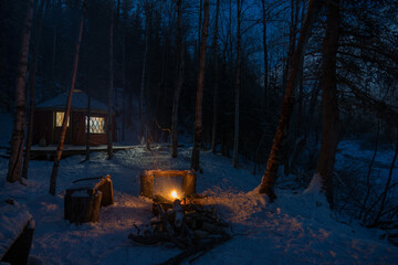 Wall Mural - winter in the forest