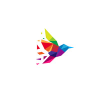 Bird Colibri Hummingbird Geometric Shattered Logo