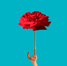 Woman Holding Umbrella Made Of Red Rose Flower On Sky Blue Background. Minimal Summer Concept. 