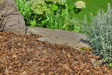 Backyard Garden Modern Landscaping. Decorative Garden Design. Back Yard Lawn And Natural Mulched Border Between Grass And Plants.