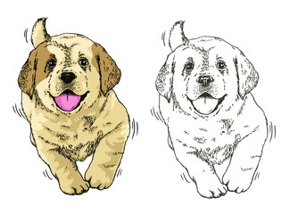 Hand drawn realistic sketch of cute puppy dog walks happily