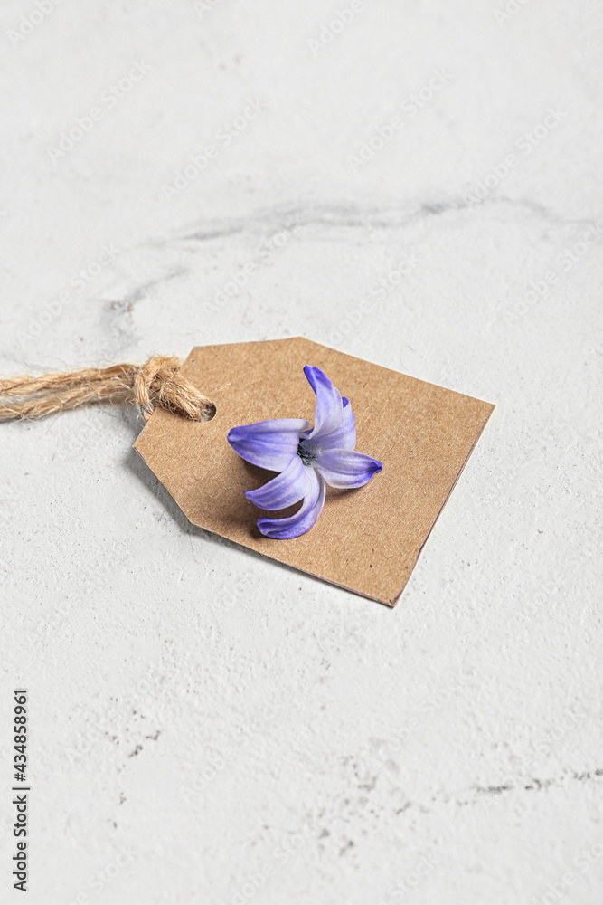 Shopping tag and beautiful hyacinth flower on light background, closeup