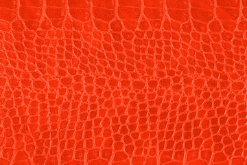 Wall Mural - Red crocodile skin texture.