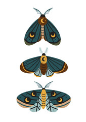 Wall Mural - poster with magic moths and butterflies