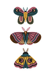 Wall Mural - magic poster with beautiful moths and butterflies