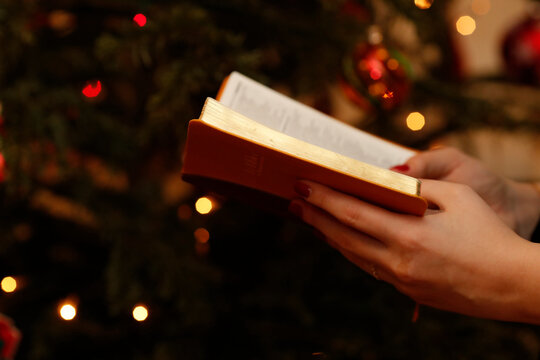 Woman reading the bible with Christmas tree in background.  Geneva. Switzerland.