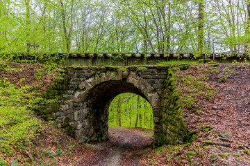 Holiday exploration tour along the beautiful Thuringian Forest near Brotterode - Germany