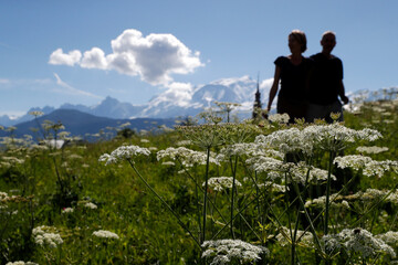 Wall Mural - Man and woman walking in the french Alps in summer.   France.