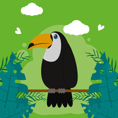 Poster - toucan with palm leaves