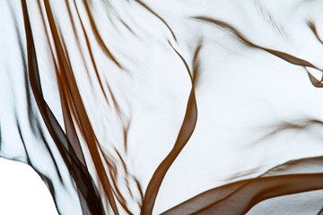 Wall Mural - Smooth elegant transparent cloth separated on white background. Texture of flying fabric.