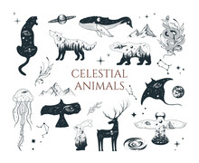 Hand Drawn Vector Isolated Collection Of Celestial Animals. Mystical Elements With Stars, Moon, Galaxy, Hare, Deer, Wolf, Bear, Owl, Whale, Stingray, Jellyfish, Panther, Eagle.