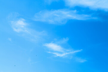 Wall Mural - blue sky with beautiful natural white clouds