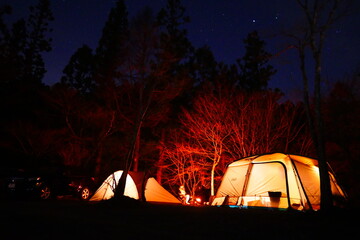 Wall Mural - tent at night