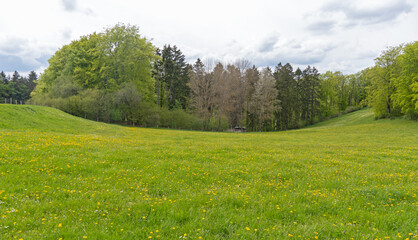 Poster - Wandern im Nationalpark Eifel