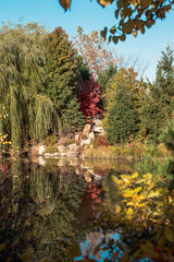 Wall Mural - Small waterfall by a pond at the Japanese garden