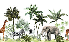 Tropical Vintage Botanical Landscape, Palm Tree, Plant, Palm Leaves, Sloth, Giraffe, Elephant, Crane, Zebra. Seamless Floral Border. Jungle Animal Wallpaper.

