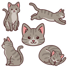 Set Of Simple And Adorable Gray Tabby Cat Illustrations Outlined