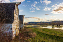 The Twin Barns At Billy Frank Jr. Nisqually National Wildlife Refuge Near Olympia, Washington