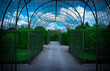 Beautiful tunnel and Alley of beautiful green trees in ornamental royal garden