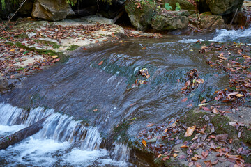 Image of a mountain stream in the autumn forest.