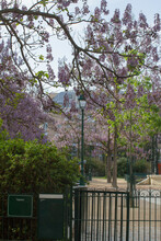 Entrance Of An Historic Little Park With Springtime Flowering Trees