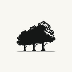 silhouette of three unique trees