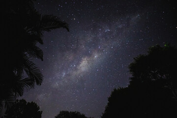 Wall Mural - starry night sky