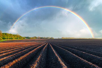 Agricultural field with even rows in the spring