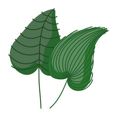 Sticker - tropical leaves vegetation