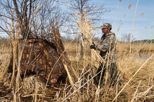 A Duck Hunter Masks His Hiding Place With Reeds