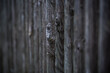 Wooden fence, picket fence in close-up
