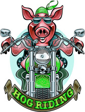 Hog Pig Driving A Motorcycle 
