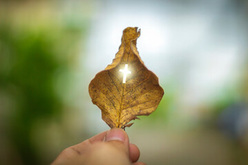 Leaves have cross on nature background