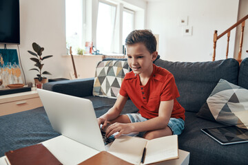 Wall Mural - Concentrated boy doing homework using laptop while homeschooling in the living room