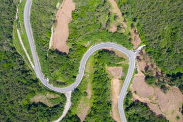 Aerial photograph of roads and trees in the forest
