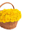 Fototapeta  - Bouquet Of Dandelions In Wicker Basket Isolated On White Background.