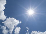 Fototapeta Las - Brillant sun shining in blue sky overhead in southwest Florida USA