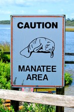 Caution Manatee Area Sign By The River's Edge Florida, USA
