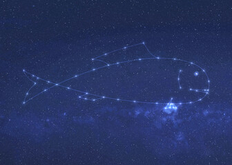 Wall Mural - fantastic fish fiction constellation with constellation lines. dream fantastic wallpaper. elements o