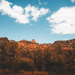 Wall Mural - red rock canyon