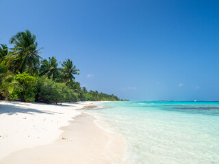 Maldives tropical islands panoramic scene, idyllic beach palm tree vegetation and clear water Indian ocean sea, tourist resort holiday vacation