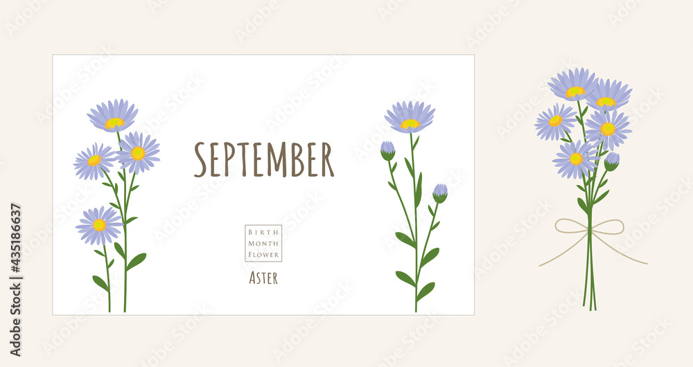 Fototapete 誕生月の花のイラスト 9月の誕生花 アスター Mixcolours