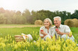 © aletia2011 - Loving elderly couple having a picnic posing in the summer