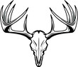 vector deer buck skull with antlers