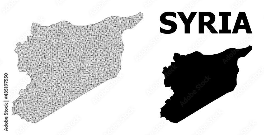 Polygonal mesh map of Syria in high resolution. Mesh lines, triangles ...